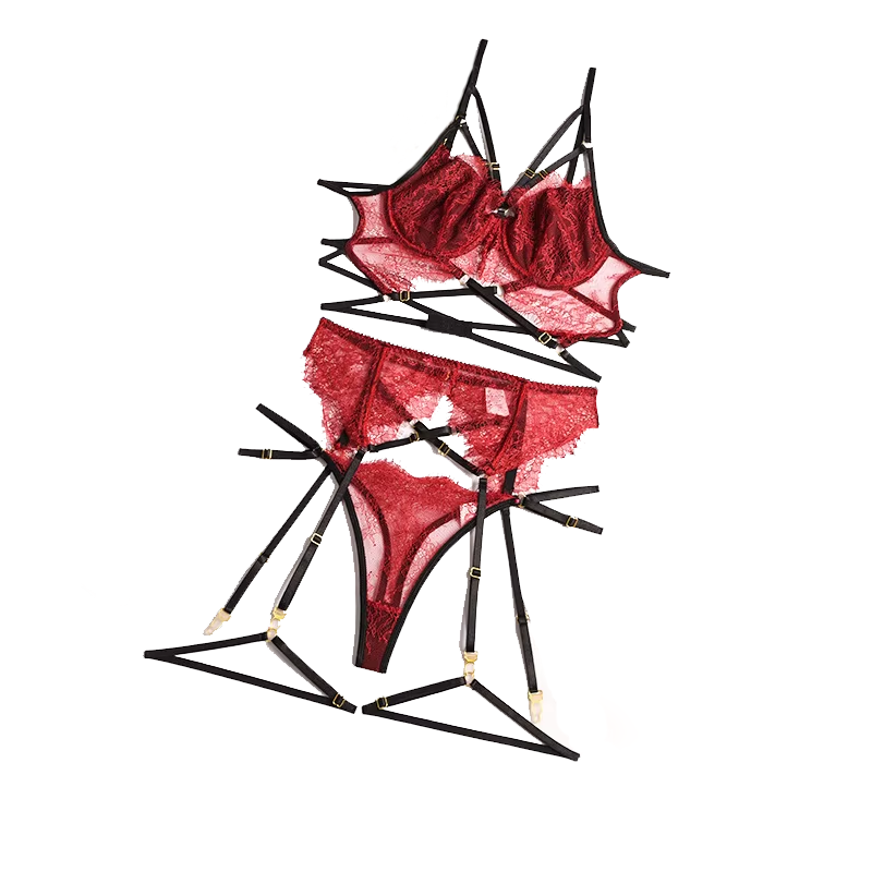 Neue Spitze sexy Dessous trans – Sheer Bra Lace Bewertung und Preis